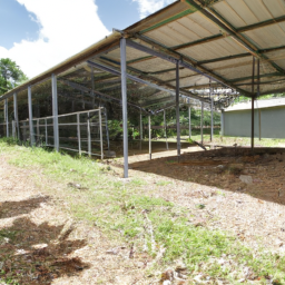 structure steel cow sheds hot sale