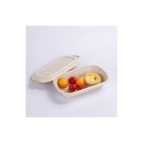 Eco Friendly 750ml Disposable Bagasse Container